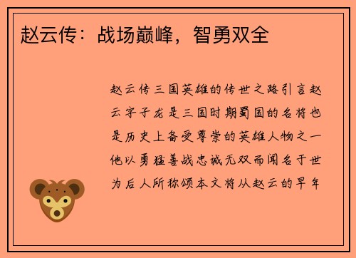 赵云传：战场巅峰，智勇双全
